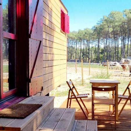 Roulottes Cocooning Au Coeur Des Landes Hotell Mées Eksteriør bilde