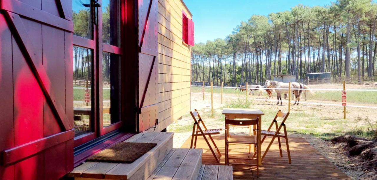 Roulottes Cocooning Au Coeur Des Landes Hotell Mées Eksteriør bilde