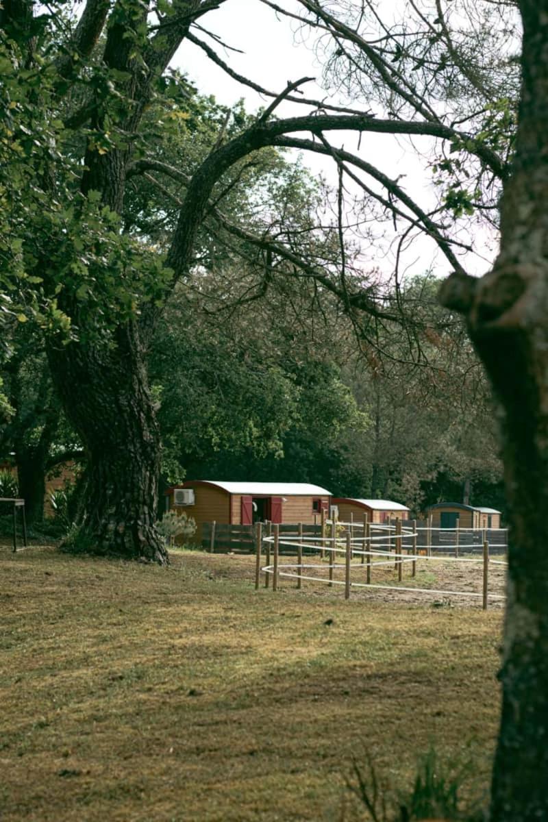 Roulottes Cocooning Au Coeur Des Landes Hotell Mées Eksteriør bilde