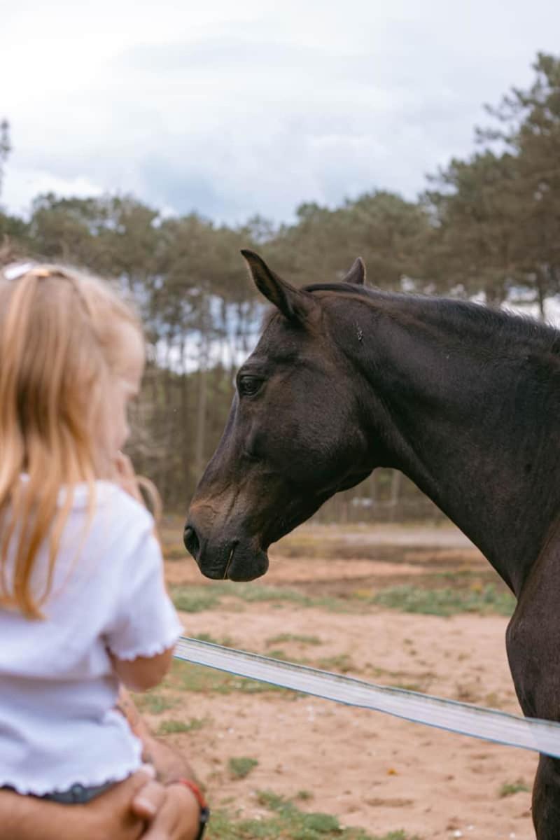 Roulottes Cocooning Au Coeur Des Landes Hotell Mées Eksteriør bilde